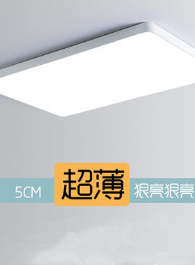 LED吸顶灯北欧超薄长方形客厅过道走廊阳台灯饰圆形主卧室房间灯