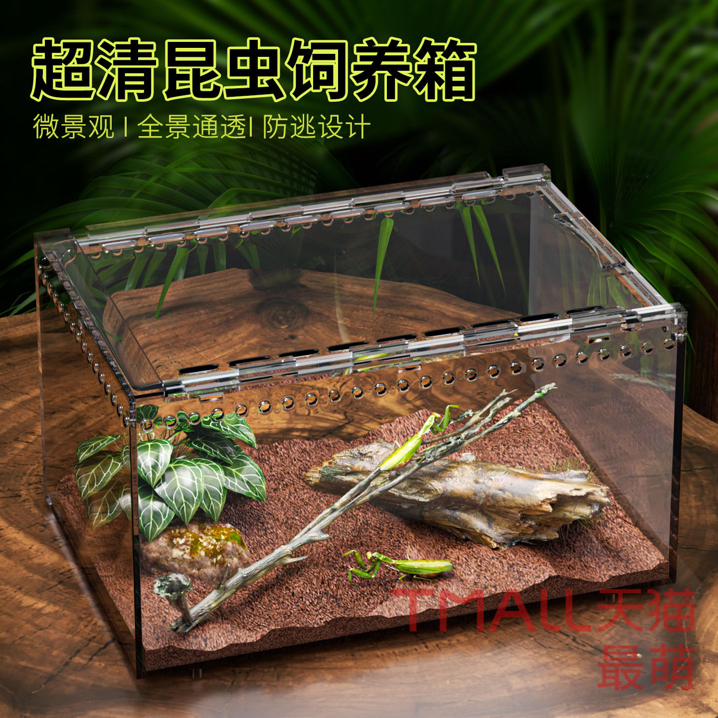 爬虫恒温饲养箱套装乌龟守宫爬宠蛇蜘蛛芦丁鸡刺猬甲虫生态造景缸