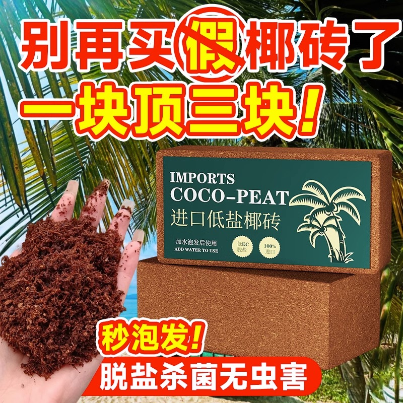 最萌宠椰砖寄居蟹爬虫沙土