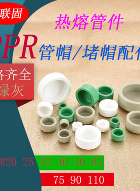 PPR20 25 32 40 50 63 75 90 110热熔堵帽堵头白色绿色灰色管帽