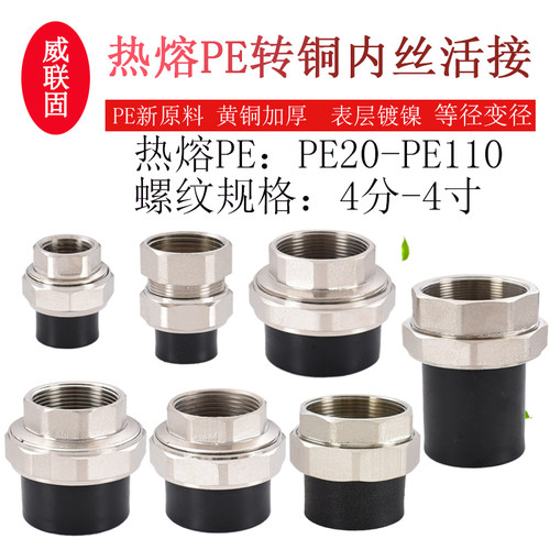 威联固25PE转黄铜内丝活接3250