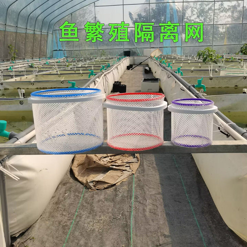 漂浮鱼繁殖隔离网小型鱼隔离盒