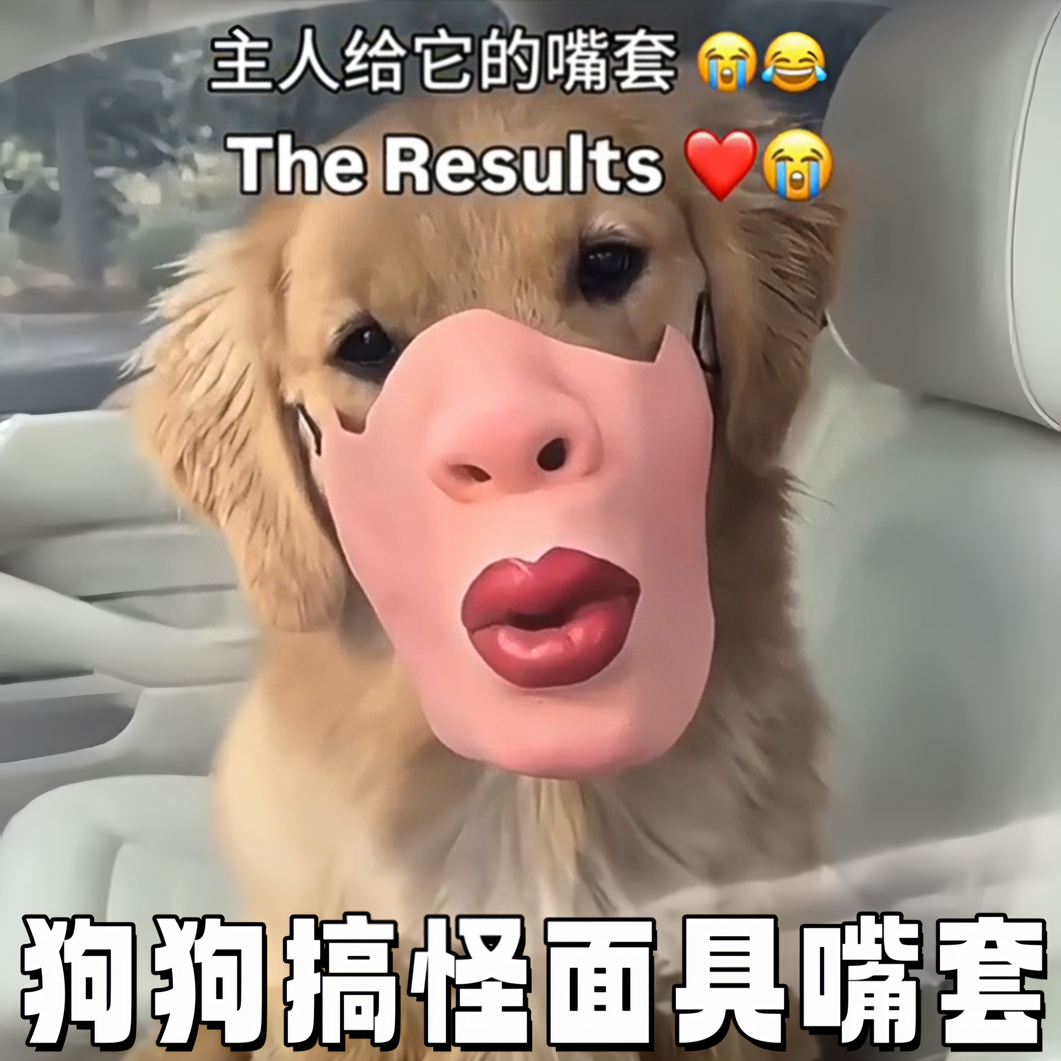 狗狗搞怪面具嘴套宠物狗狗搞笑口罩恶搞大笑嘴唇头套宠物面具神器图片