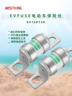 新能源电动汽车专用保险丝/熔断器EV16H150-20A25A32A35A50A180A