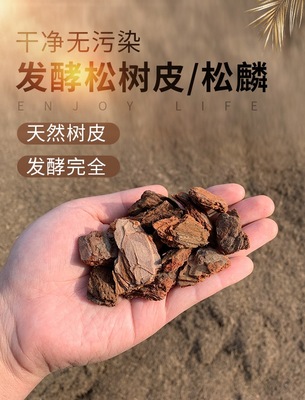 箱箱乐黄缘陆龟垫材松树皮