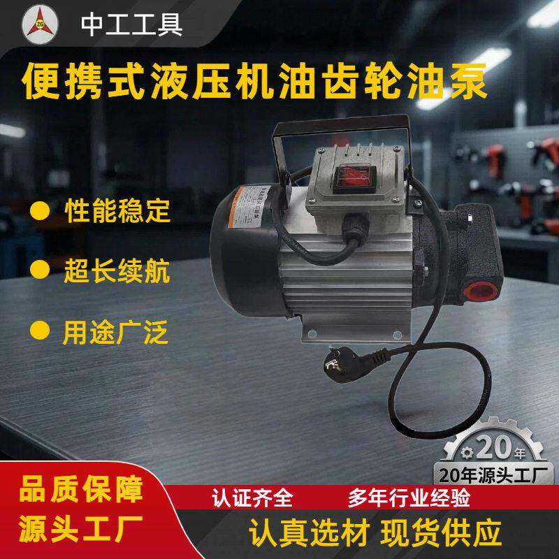 厂家铜线220V-750W电动抽油泵加油泵便携式机油齿轮液压油抽油泵