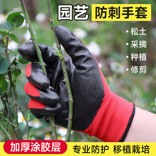 园艺专用手套防刺防水防扎加厚