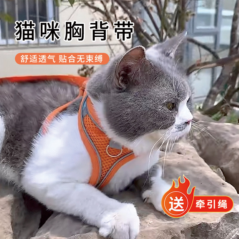宠物胸背带小狗牵引绳轻薄透气背心式不勒脖防挣脱绳子外出遛狗绳