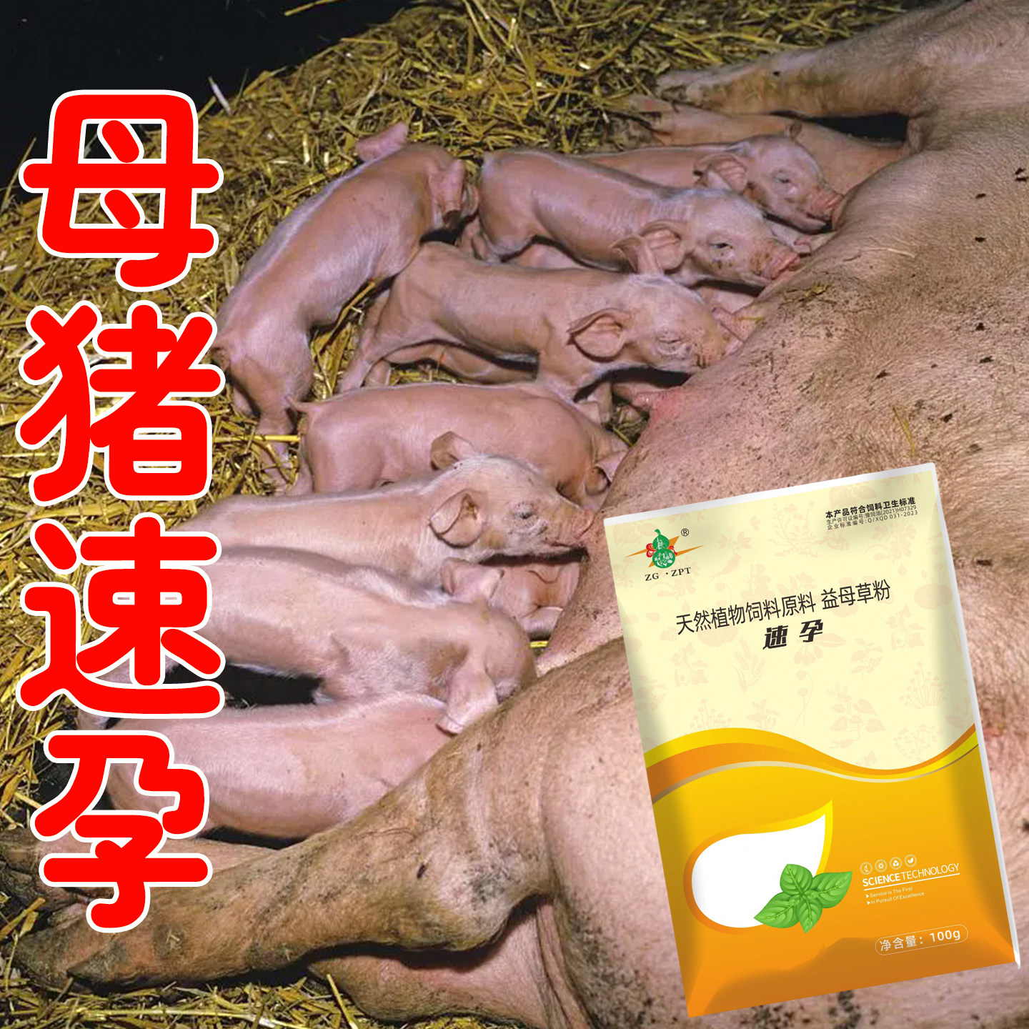 母猪发情速孕一产多胞猪牛羊母畜快速促孕催孕混合型饲料添加剂