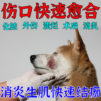 狗狗伤口愈合药去腐生肌咬伤溃烂