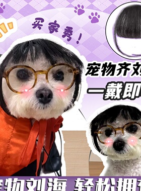 宠物猫咪假发波波头齐刘海金三柜同款头套狗狗网红发饰金渐层