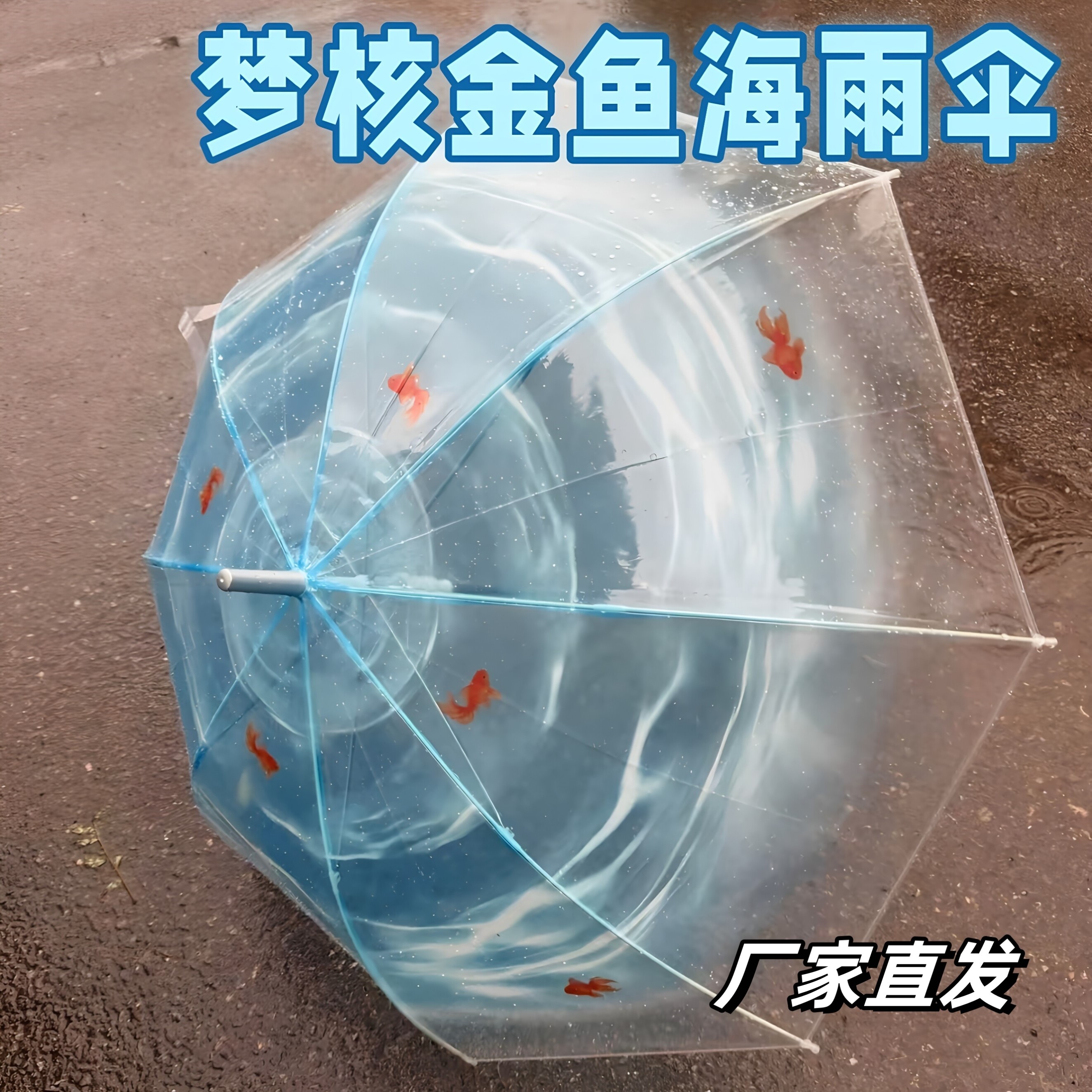 创意金鱼透明长柄直柄雨伞