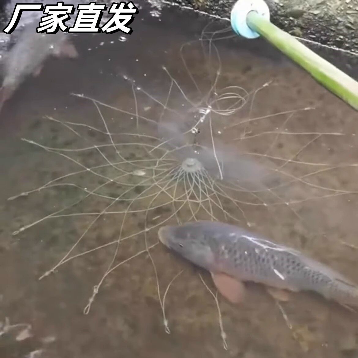 钓鱼神器黑科技打窝自动开合大闸蟹笼子钓龙虾专用懒人捕蟹杆工具