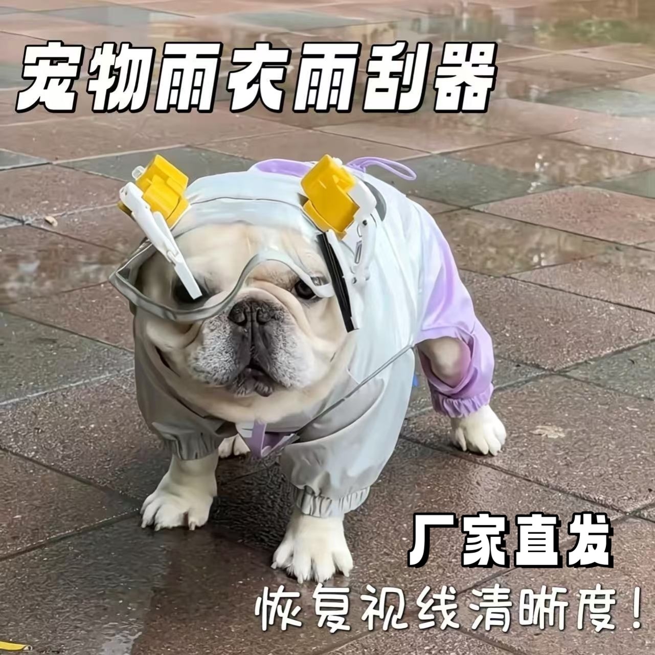 宠物雨衣带灯刮水护眼