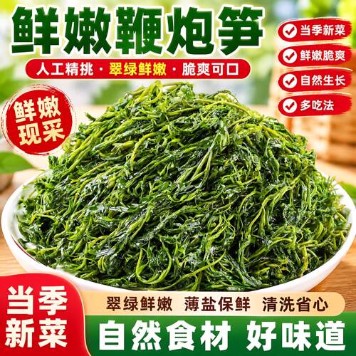 鞭炮笋5斤羊栖菜新鲜马尾藻长寿菜盐渍海藻菜半干货海带商用