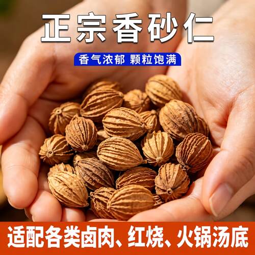 四川香砂仁川砂仁中药材卤菜煲汤炖汤火锅川菜罐装香料调味料大全