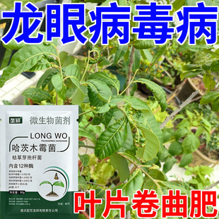 龙眼病毒病专用叶面肥叶片卷曲皱缩畸形斑驳卷叶病果树用水溶肥料