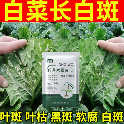 蔬菜白菜上起白斑的专用肥料小青菜白菜黄叶烂叶黑斑软腐病叶面肥