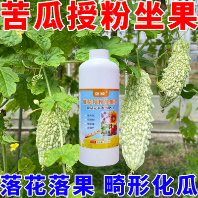 苦瓜种植催花授粉保花保果坐果灵氯呲脲防落花落果瓜小畸形雌花多