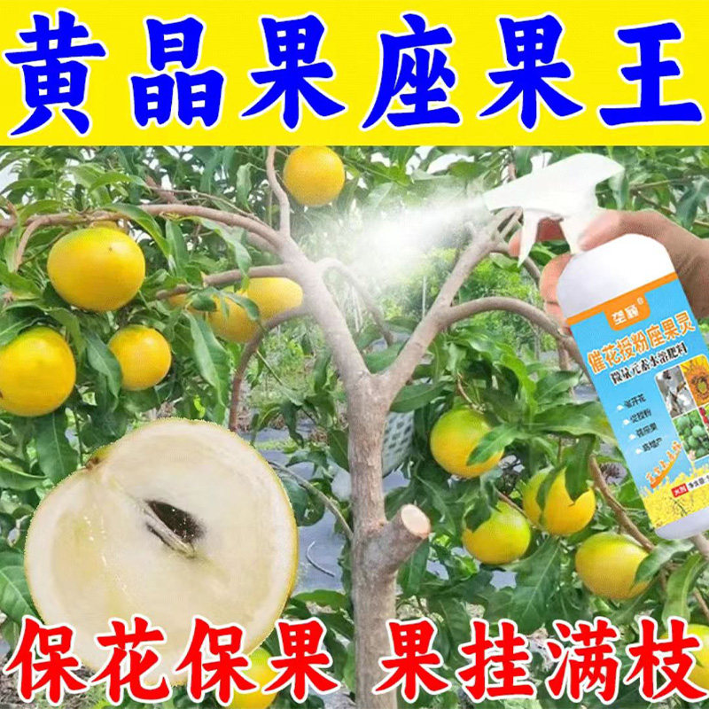黄晶果座果王】专用催花授粉剂保花保果防落花落果畸形小果不结果