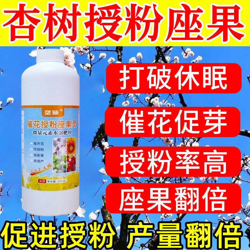 杏树催花剂授粉剂座果精促花促果保花保果快速开花增产膨大不掉果