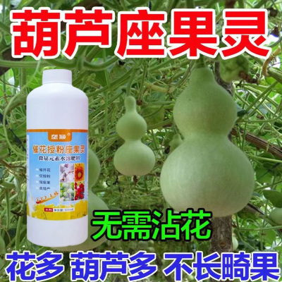 葫芦瓜免点花坐果灵催花授粉雌花多防落花落果黄果畸形烂果不结果
