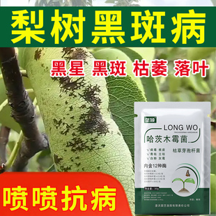 梨树黑斑病叶斑病掉叶落果梨树炭疽叶枯褐斑病抑菌梨树病害专用肥