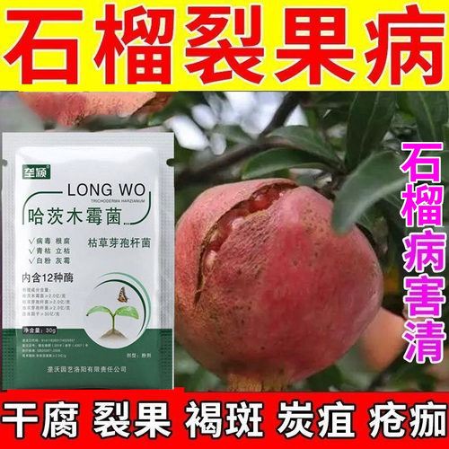 石榴裂果炸果病肥料煤污褐斑病炭疽病黑霉病青霉病石榴专用叶面肥