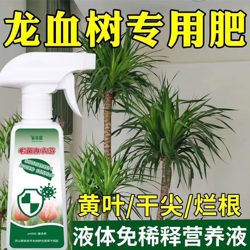 龙血树专用营养液室内龙须树防黄叶干尖防倒伏绿植通用水溶液体肥