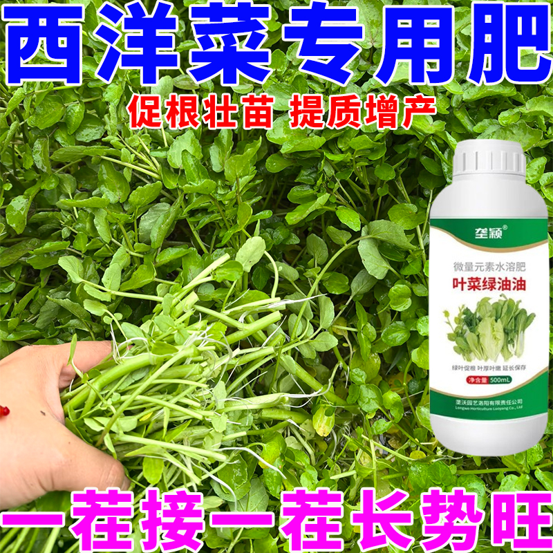 西洋菜专用叶面水溶肥大叶大埂素生根壮苗不徒长不发黑腐烂长势旺