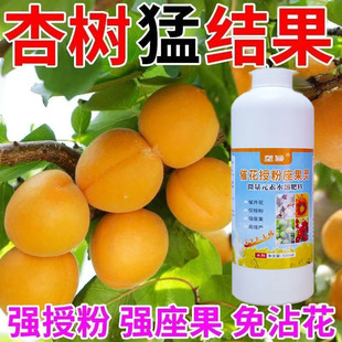 油杏催花授粉座果灵】杏树专用授粉剂免沾花防落果保花保果叶面肥