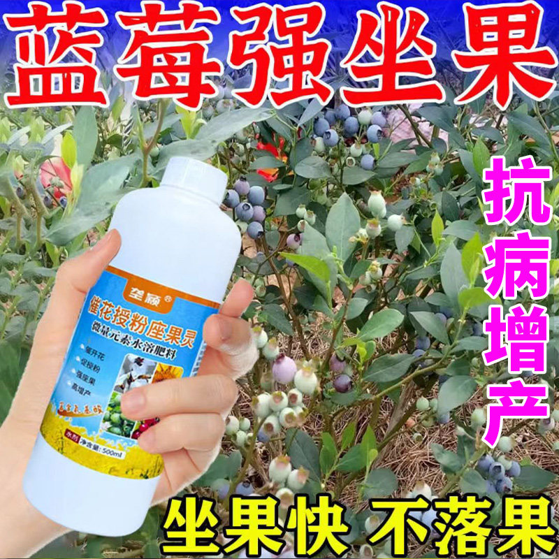 蓝莓催花授粉精提高坐果率防落花落果膨大果实提质增产肥料防畸形