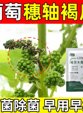葡萄穗轴病专用微生物肥果子不长褐腐黑腐炭疽枯萎皱缩干巴急救肥