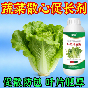蔬菜散心促长剂展叶防黄叶包心卷叶烂心扭心提质增产爆长素叶面肥
