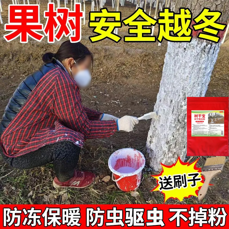 树木涂白剂【快速成膜不怕雨】防虫防晒防紫外线果树冬天抗寒保暖
