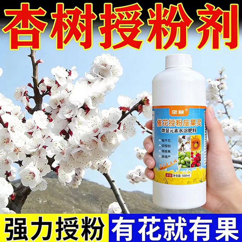 杏树专用催花授粉座果灵促花坐果保花保果提质增产快速开花防炸果