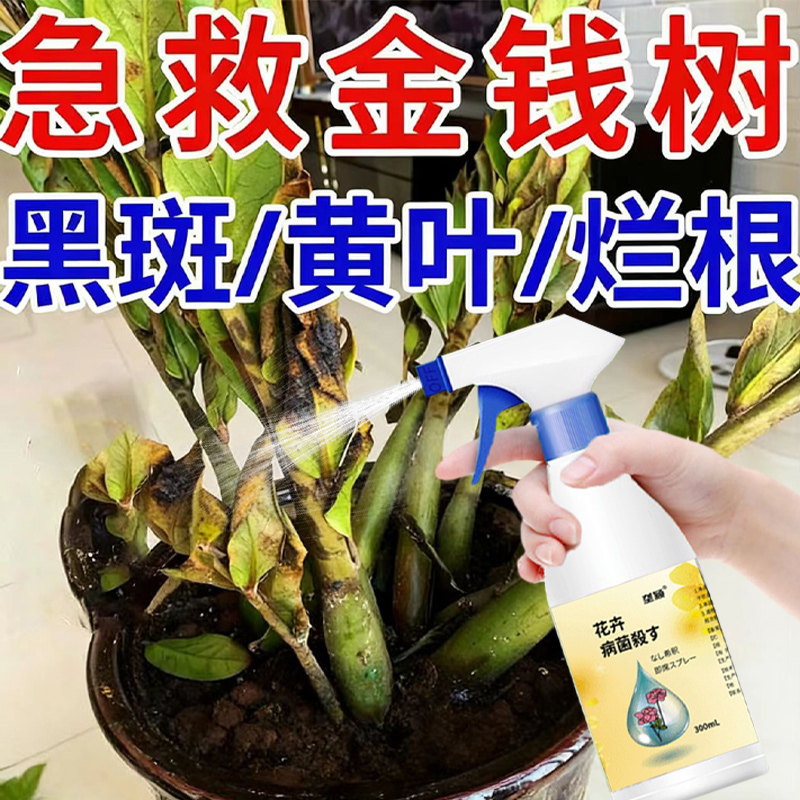 金钱树黑斑病营养液盆栽绿植炭疽病白粉病褐斑烂根叶子发黄掉叶子,鲜花速递/花卉仿真/绿植园艺,家庭园艺肥料,淘宝优惠券,粉丝福利购,淘宝优惠卷