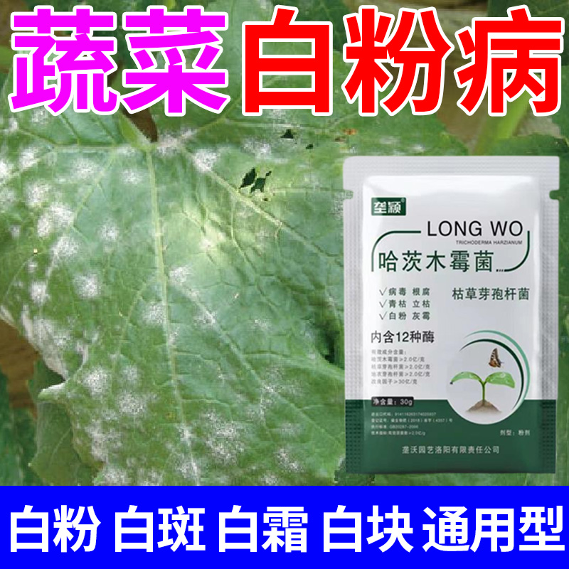 蔬菜白粉病专用肥料白斑病白霜病白块白点灰霉病叶焦软腐微生物剂