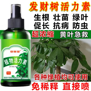发财树活力素营养液【免稀释】发财树叶子枯萎黄叶生根家用叶面肥