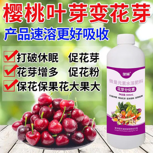 樱桃催芽剂爆芽素爆芽王车厘子专用破眠剂发芽素打破休眠期早出芽