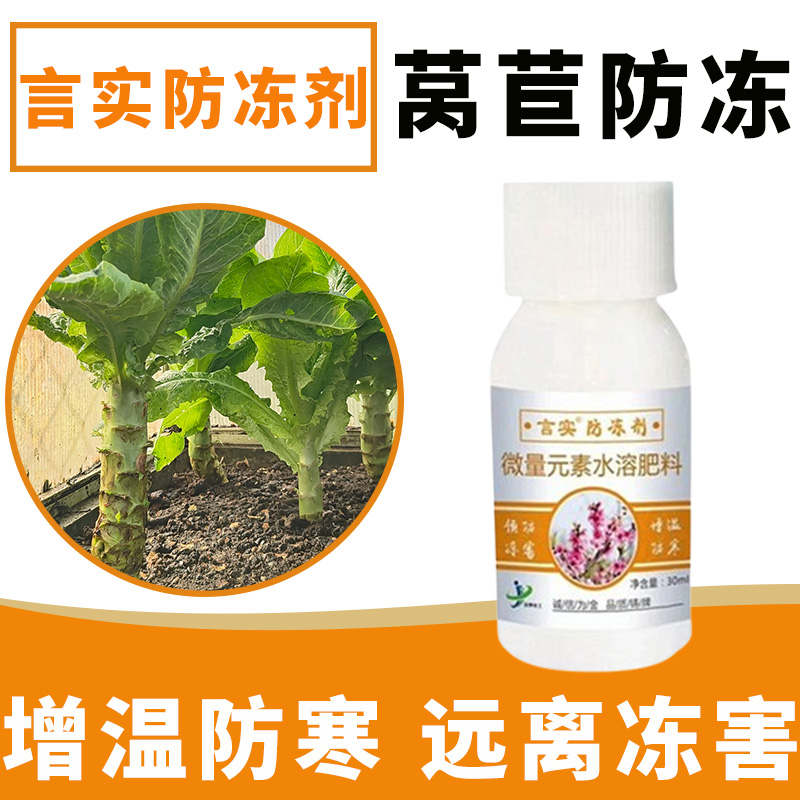 莴苣苗冬天露天防寒抗冻保护剂生根壮苗防冻害防霜冻正品促生长快