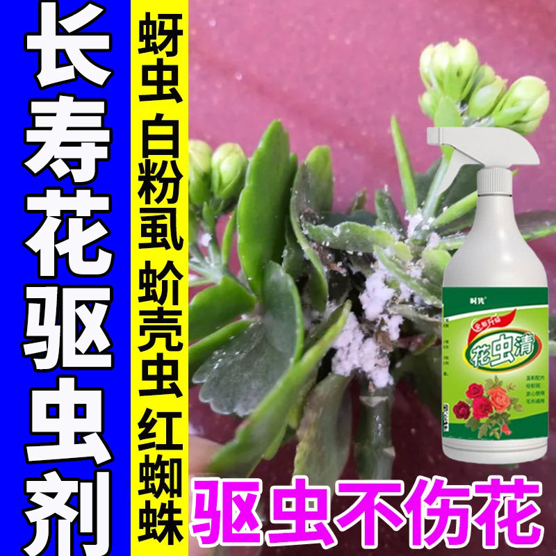 长寿花病虫害驱虫剂花卉植物盆栽蚧壳虫粉虱蚜虫红蜘蛛家用除虫剂,鲜花速递/花卉仿真/绿植园艺,家庭园艺肥料,淘宝优惠券,粉丝福利购,淘宝优惠卷