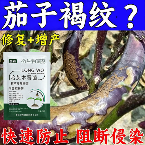 茄子褐纹急救叶面肥果实软腐