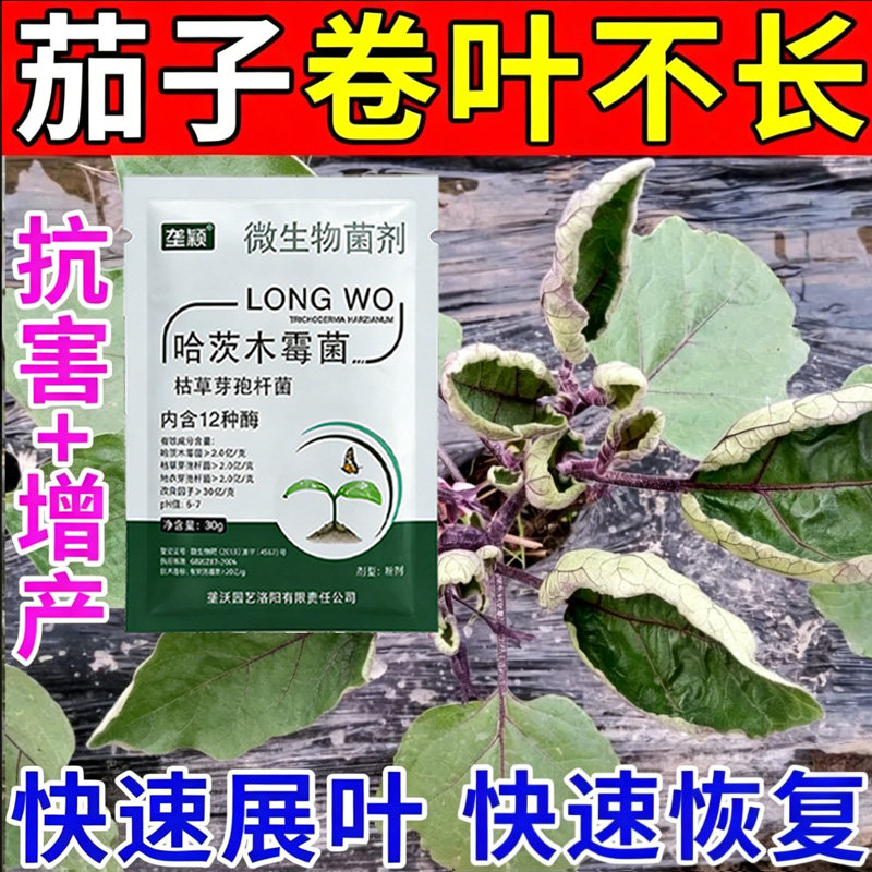 茄子卷叶不长专用肥叶子卷曲皱缩干叶小叶黄叶半边疯修复水溶肥料