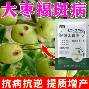 大枣褐斑病叶面肥枣树病黄叶卷叶病软腐枣锈病专用抗土传增强树势