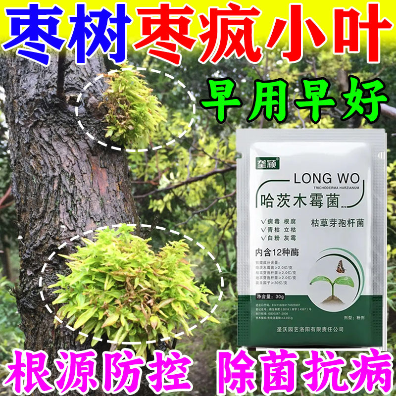 枣树枣疯病小叶病丛枝扫帚病专用叶面肥叶子卷曲落叶保花果防缩果