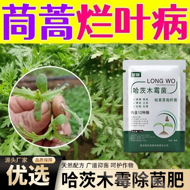 茼蒿烂叶病肥料哈茨木霉腐烂防控急救增菌炭疽烂叶病营养水溶肥料