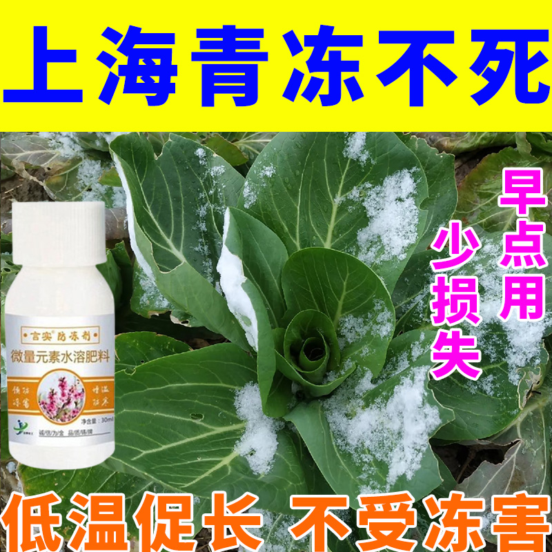 上海青专用植物抗寒防冻剂保温护根防霜冻霜降倒春寒修复冻伤促长