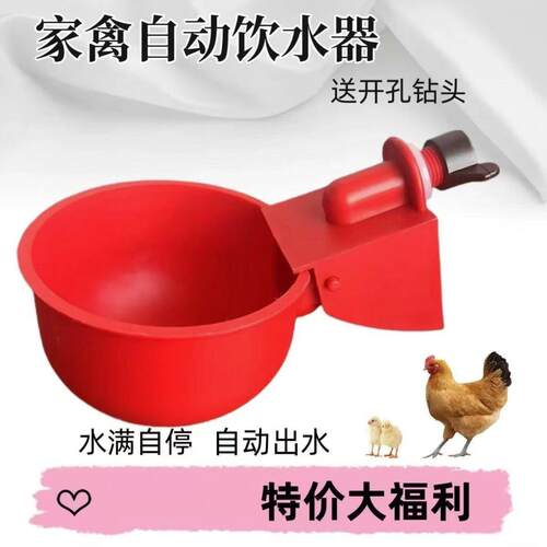 鸡饮水壶家禽自动加水器养殖料槽水槽食槽料桶水桶鸭鹅鸽子喂水器