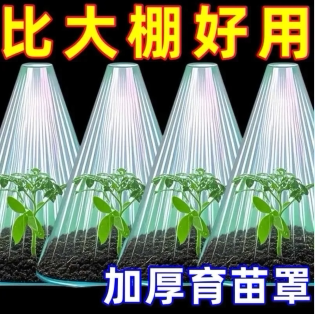 植物幼苗金钟罩育苗透明保护罩菜苗瓜苗遮阳防晒罩护苗罩保温罩子